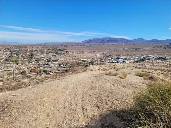 Twentynine Palms, CA 92277,73289 Cactus