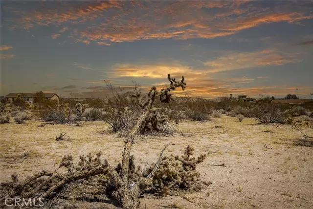 Joshua Tree, CA 92252,63541 Jadeite Street