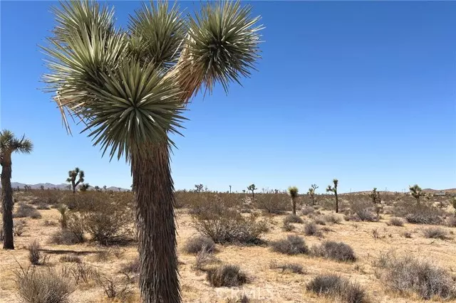 Yucca Valley, CA 92284,2814 Yucca Mesa Road