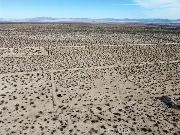 Joshua Tree, CA 92252,1234 Desert Lily Street