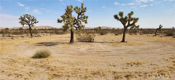 Joshua Tree, CA 92252,60220 Drexel Road