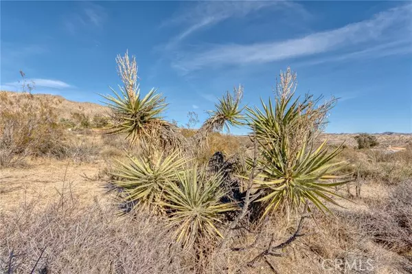 Morongo Valley, CA 92256,321 Pioneer Drive