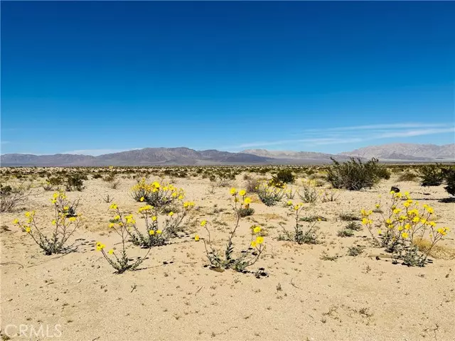 Twentynine Palms, CA 92277,0 Near Shelton Road