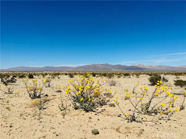 Twentynine Palms, CA 92277,0 Near Shelton Road