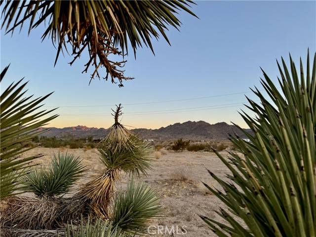 5858 Neptune Road, Joshua Tree, CA 92252