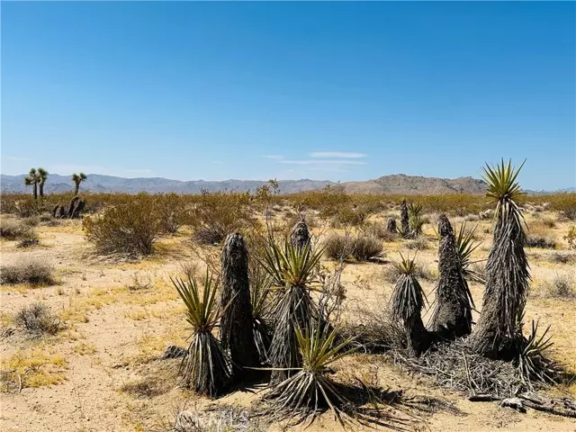 Joshua Tree, CA 92252,5 Sunset Road