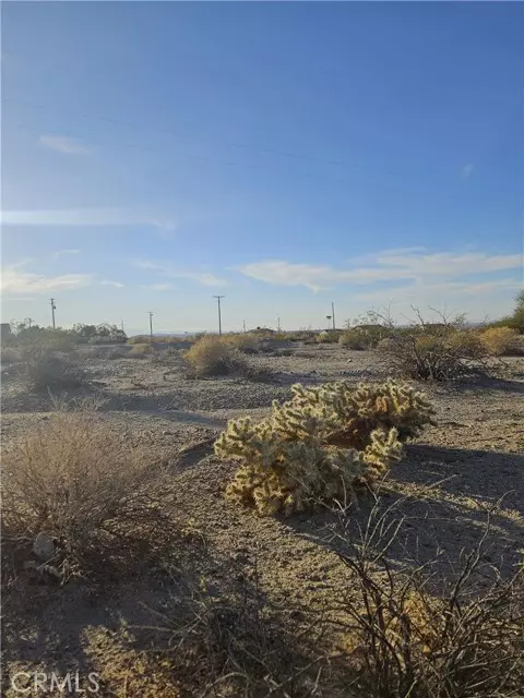 Twentynine Palms, CA 92277,7024 Broad Avenue