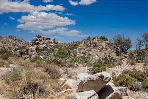 Joshua Tree, CA 92252,60300 Mountain Trail