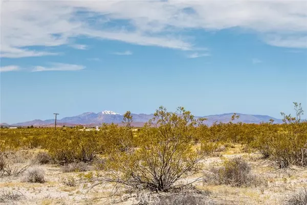 Joshua Tree, CA 92252,2830 Bonair Road