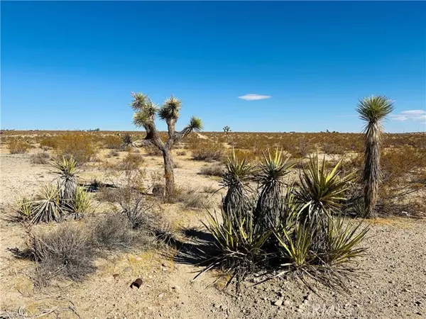 24 Avenida Del Sol, Joshua Tree, CA 92252