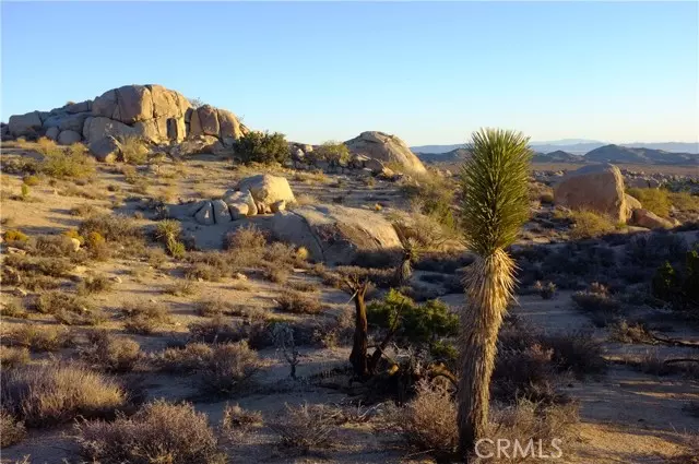 Pioneertown, CA 92268,52588 Blackbrush Road