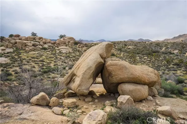 Pioneertown, CA 92268,52588 Blackbrush Road