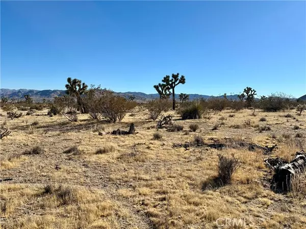 Yucca Valley, CA 92284,4726 Paradise View Road