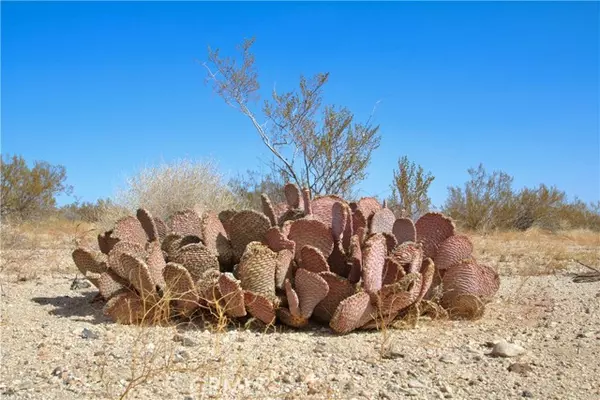 Joshua Tree, CA 92252,0 Moonlight Mesa Avenue