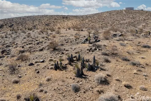 Yucca Valley, CA 92285,1000 Millie Lane