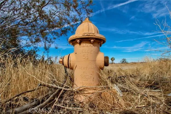 Joshua Tree, CA 92252,6425 Sun Ray Road