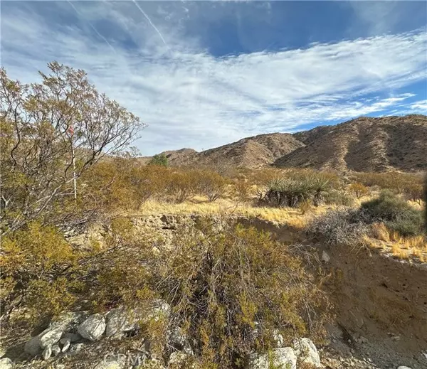 Morongo Valley, CA 92256,12345 29 Palms Highway