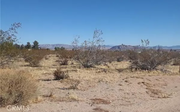 Yucca Valley, CA 92284,345 Deer Trail