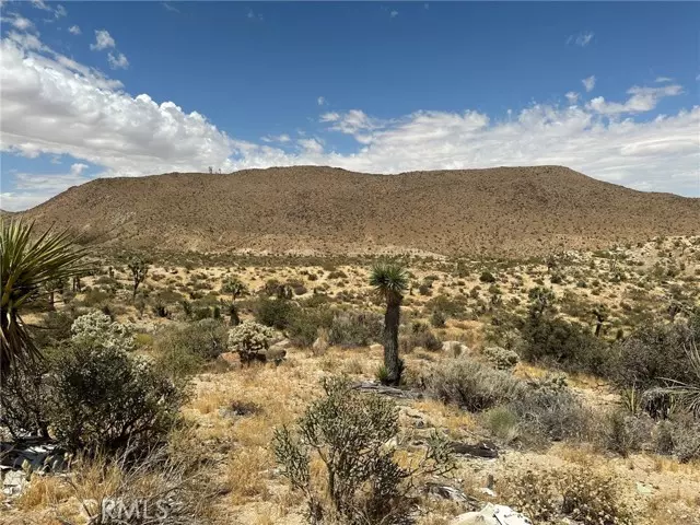 2468 Prescott Ave, Yucca Valley, CA 92284