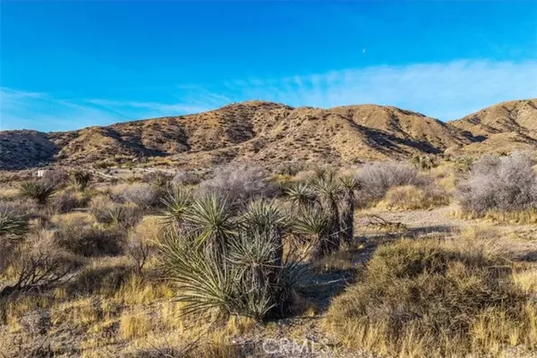 Morongo Valley, CA 92256,0 Palo Verde Road