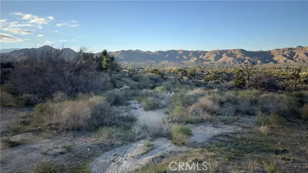 55370 Bunny Road, Yucca Valley, CA 92284