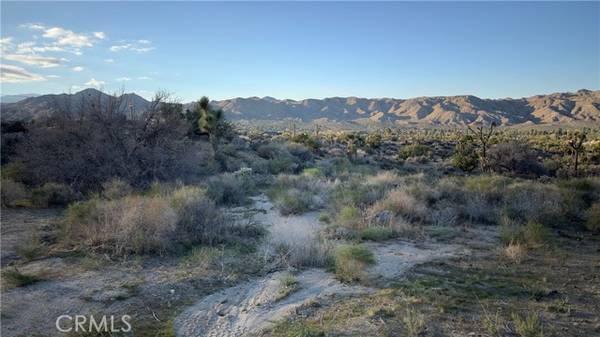 55370 Bunny Road, Yucca Valley, CA 92284
