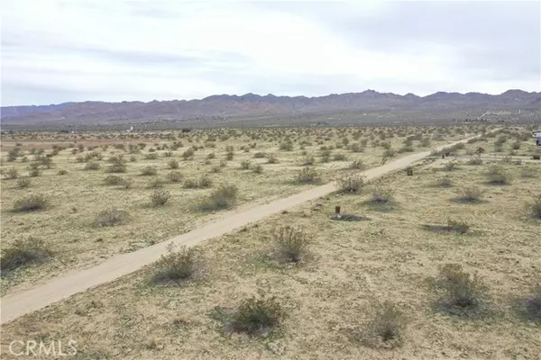 Joshua Tree, CA 92252,12345 Sunbeam Avenue