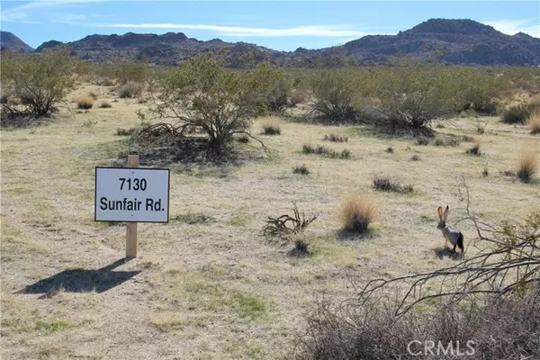 Joshua Tree, CA 92252,64647 Foothill Drive