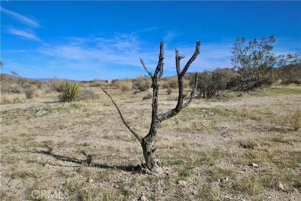 Joshua Tree, CA 92252,64755 Foothill Drive