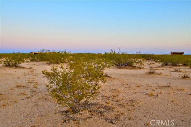 Joshua Tree, CA 92252,1475 Windsong Avenue