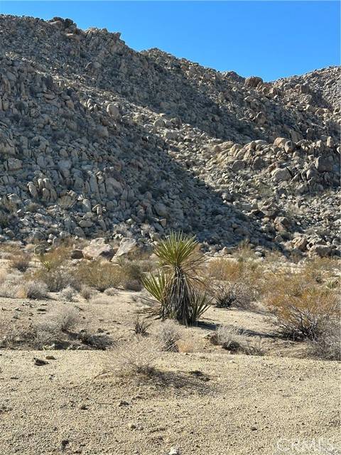 0 Jackass, Twentynine Palms, CA 92277
