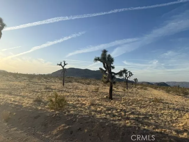 59860 Stearman Road, Landers, CA 92285