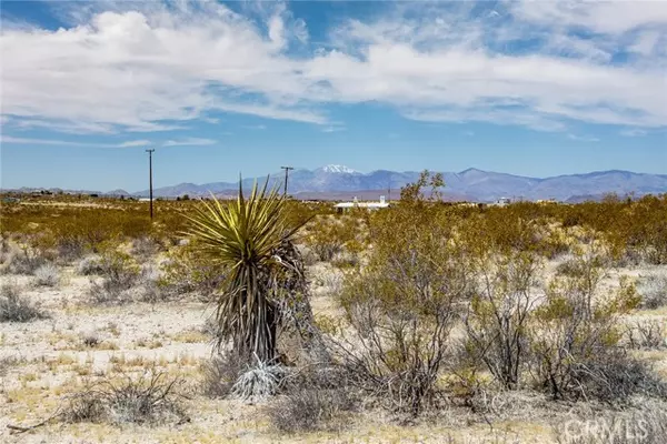 Joshua Tree, CA 92252,2830 Polaris Road