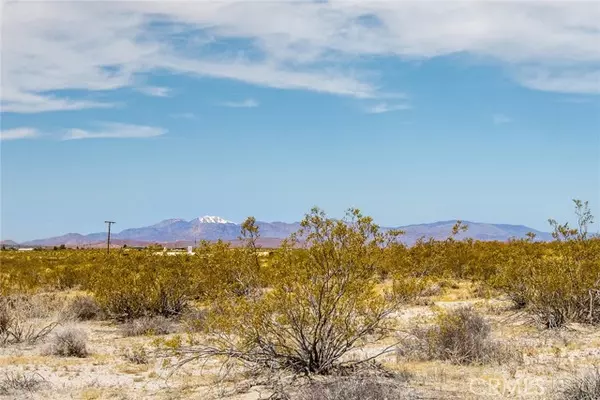 Joshua Tree, CA 92252,2830 Polaris Road