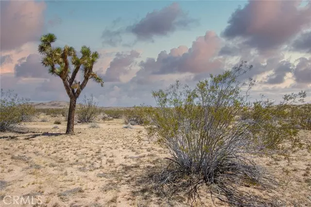 4444 Cielito Drive, Joshua Tree, CA 92252