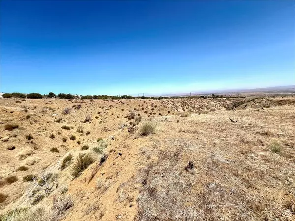 Juniper, CA 93543,113 Juniper Mesa Road