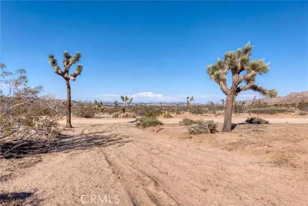 Joshua Tree, CA 92252,107 Juniper Road