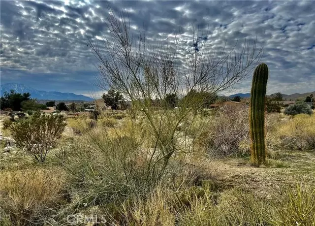 11040 Mescalero Avenue, Morongo Valley, CA 92256