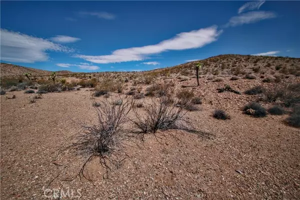 Joshua Tree, CA 92252,60024 La Brisa Drive