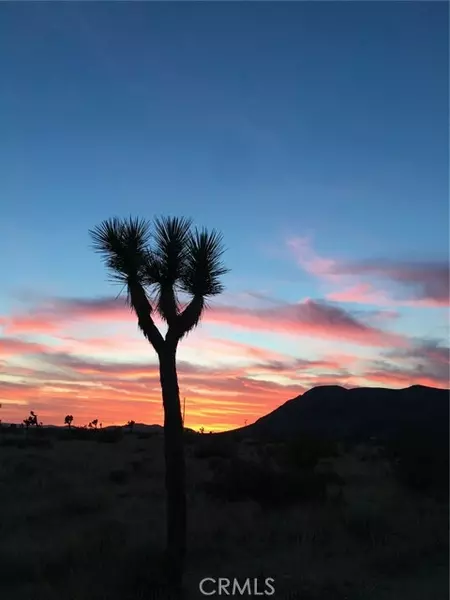 59990 Mitch Lane, Landers, CA 92285