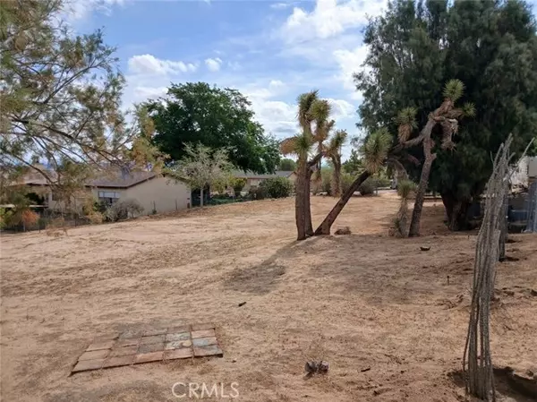 6896 Conejo, Joshua Tree, CA 92252