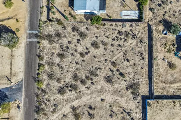 Joshua Tree, CA 92252,7199 Olympic Road