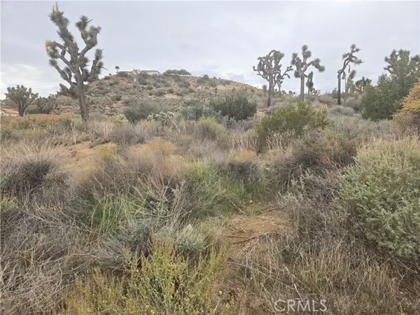 54777 Twentynine Palms Highway, Yucca Valley, CA 92284