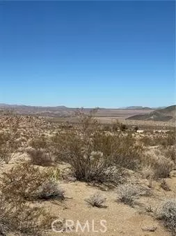 Twentynine Palms, CA 92277,0 Jackass