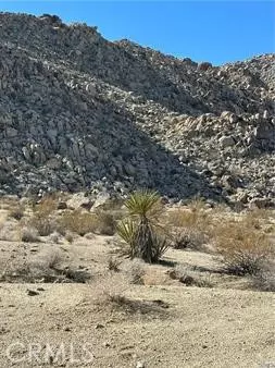 Twentynine Palms, CA 92277,0 Jackass