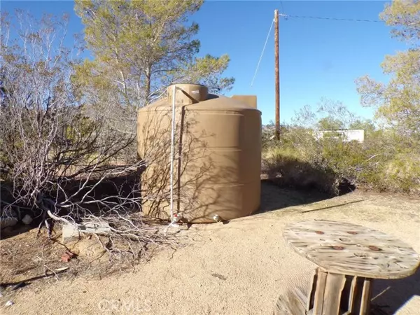 Big Bear City, CA 92285,50573 Cholla