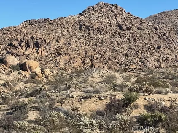 7085 Alturas Drive, Joshua Tree, CA 92252