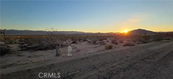 Joshua Tree, CA 92252,1 Belmont Street