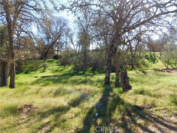 16299 36th Avenue, Clearlake, CA 95422