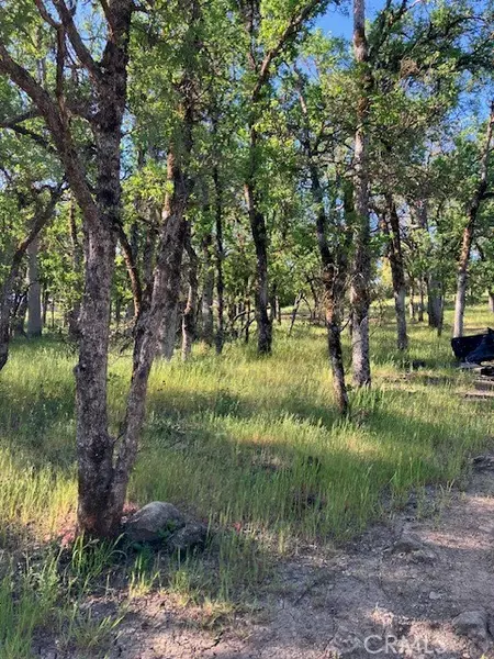 16073 13th Avenue, Clearlake, CA 95422